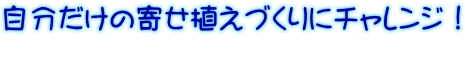̊񂹐AÂɃ`WI 