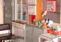 蓖R[i[̗lq