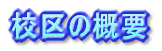 Z̊Tv