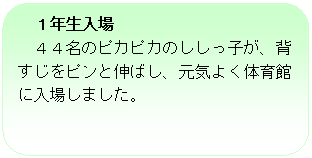 �p�ێl�p�`: �P�N������
�S�S���̃s�J�s�J�̂������q���A�w�������s���ƐL�΂��A���C�悭�̈�قɓ��ꂵ�܂����B
