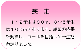 �p�ێl�p�`: ���@��
�@�P�E�Q�N���͂W�O���A�R�`�U�N���͂P�O�O���𑖂�܂��B���K�̐��ʂ𔭊����A�S�[����ڎw���Ĉꐶ��������܂����B
