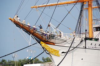 DSC_0099.jpg