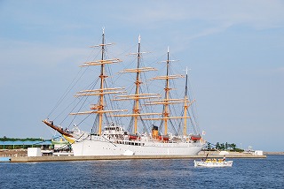 DSC_0107.jpg