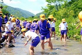 img049.jpg